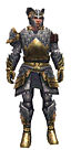Warrior Templar armor m.jpg
