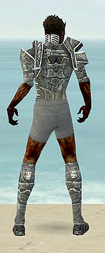Necromancer Fanatic armor m gray back chest feet.jpg