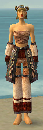 Monk Ancient armor f gray front arms legs.jpg