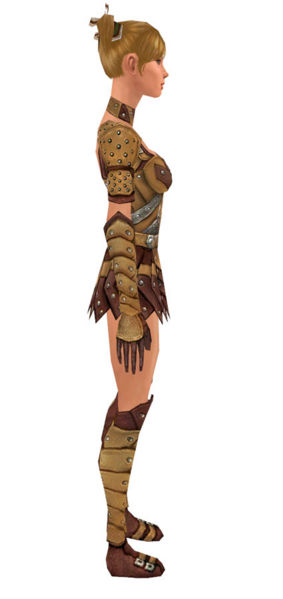 File:Ranger Elite Studded Leather armor f dyed right.jpg