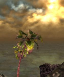 User Valion Sentis beach tree.jpg