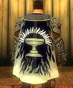 Guild Knights Of The Silver Chalice cape.jpg