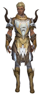 Paragon Norn armor m dyed front.png
