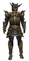 Warrior Wyvern armor m.jpg