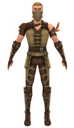 Ranger Ascalon armor m dyed front.jpg