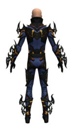 Assassin Elite Kurzick armor m dyed back.jpg