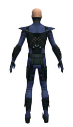Assassin Seitung armor m dyed back.jpg