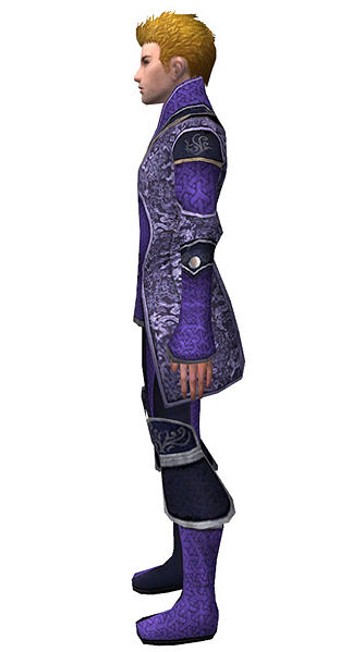 File:Elementalist Canthan armor m dyed left.jpg