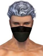 Ranger Norn Mask m gray front.png