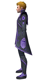 Elementalist Tyrian armor m dyed left.jpg