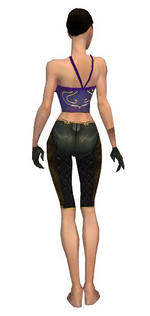 Mesmer Ancient armor f gray back arms legs.png