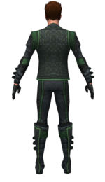 Mesmer Elite Rogue armor m dyed back.jpg
