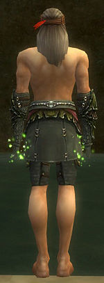 Ranger Elite Luxon armor m gray back arms legs.jpg