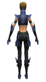 Assassin Luxon armor f dyed back.jpg