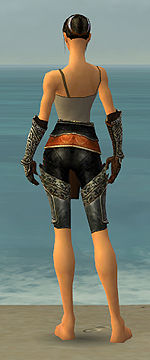 Warrior Elite Canthan armor f gray back arms legs.jpg
