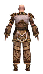 Monk Elite Canthan armor m dyed back.jpg