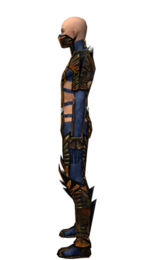 Assassin Elite Exotic armor m dyed left.jpg