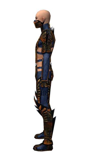 File:Assassin Elite Exotic armor m dyed left.jpg