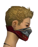 Assassin Monument Mask f gray right.png