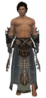 Dervish Primeval armor m gray front arms legs.png