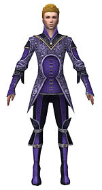 Elementalist Canthan armor m dyed front.jpg