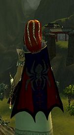 Guild Dark Realm Of Wizards cape.jpg