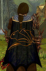 Guild Order Of The Savage Squirrel cape.jpg