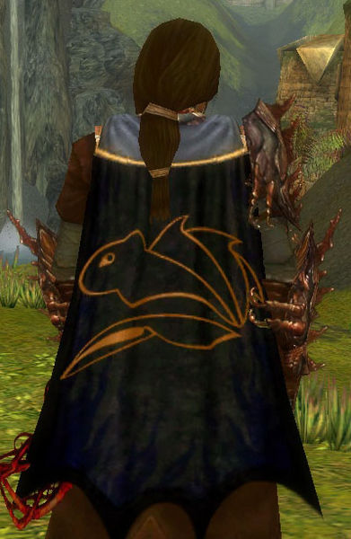 File:Guild Order Of The Savage Squirrel cape.jpg