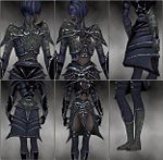 Screenshot Necromancer Elite Necrotic armor f dyed Grey.jpg