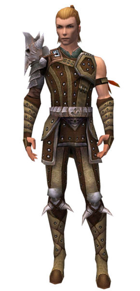 File:Ranger Elite Studded Leather armor m.jpg
