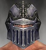 Warrior Platemail armor m gray front head.jpg