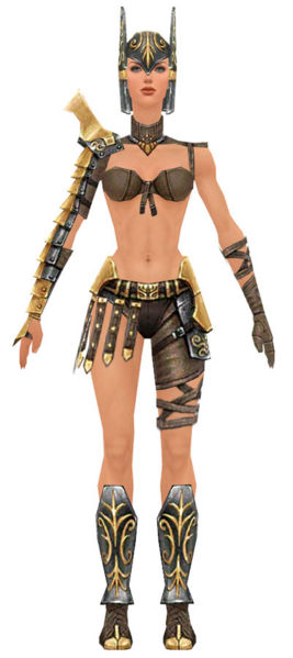 File:Warrior Elite Gladiator armor f dyed front.jpg