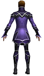 Elementalist Shing Jea armor m dyed back.jpg