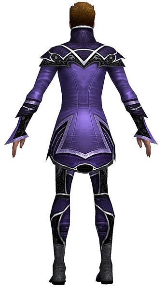 File:Elementalist Shing Jea armor m dyed back.jpg