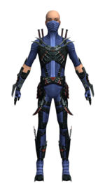 Assassin Elite Canthan armor m dyed front.jpg