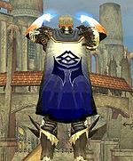 Guild Full Armor Of God cape.jpg