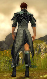 Elementalist Elite Luxon armor m gray back chest feet.jpg