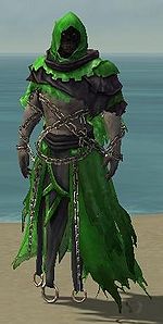 Vale Wraith costume m dyed front.jpg