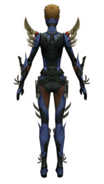 Assassin Elite Imperial armor f dyed back.jpg