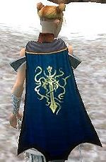 Guild Ultimate Awesome (historical) cape.jpg