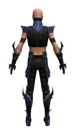 Assassin Luxon armor m dyed back.jpg