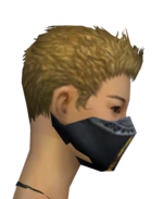Assassin Exotic Mask f gray right.png