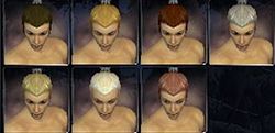 Assassin factions hair color m.jpg