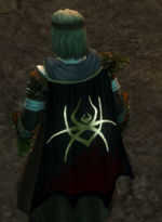 Guild The Two Spirits cape.jpg