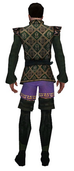 Mesmer Courtly armor m gray back chest feet.png