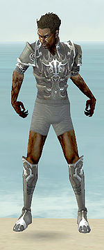 Guild Wars Necromancer Armor on Gallery Of Male Necromancer Tyrian Armor   Guild Wars Wiki  Gww