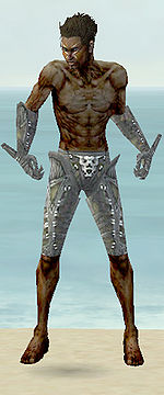 Necromancer Necrotic armor m gray front arms legs.jpg