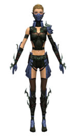 Assassin Elite Luxon armor f dyed front.jpg