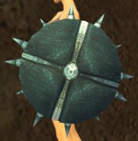 Droknar's Strength Shield.jpg