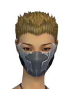 Assassin Canthan Mask f gray front.png